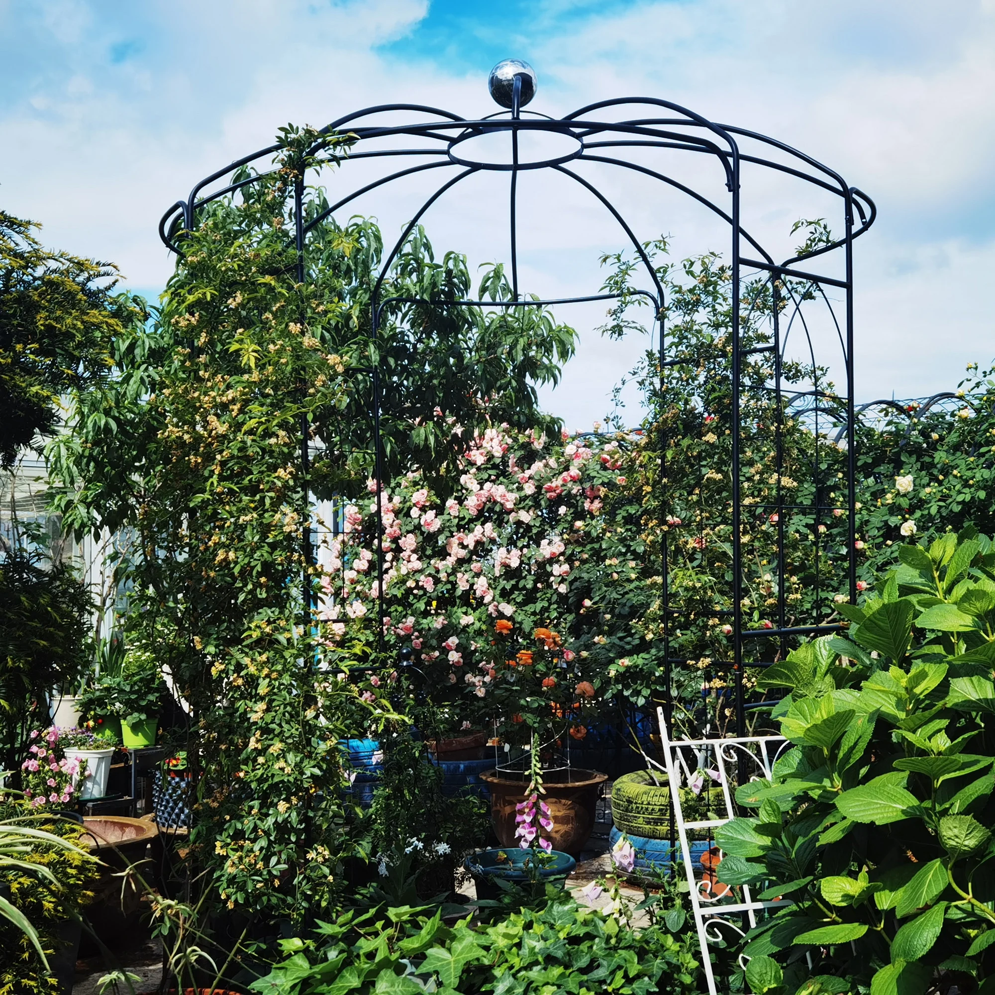 Metal Garden Arch Iron Garden Arbors Gazebo Dia81.3'' x 114.2'' High Birdcage Shape Pergola Pavilion for Wedding Ceremony Outdoor Black - Image 3