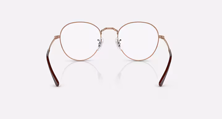 Ray-Ban ROUND METAL OPTICS II