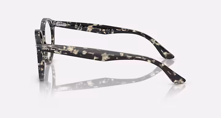 Ray-Ban LARRY OPTICS