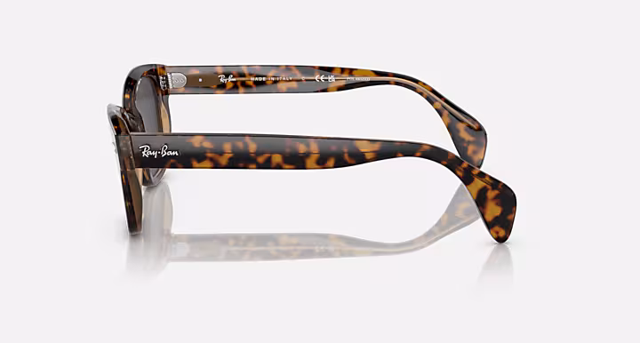 Ray-Ban RB0880S RELOADED