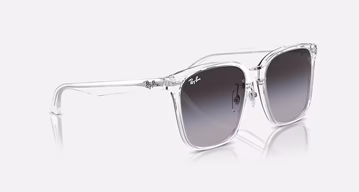 Ray-Ban RB2206D