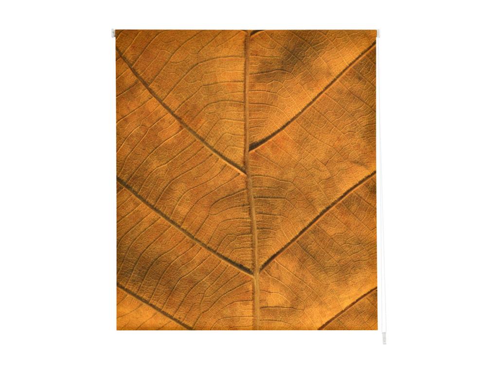 Lujodec | Estores Personalizados FLORES y PLANTAS | 110 x 180 cm (Ancho por Alto) Tamaño de Tela 107 x 175 cm | Modelo F-1555 Color Unico