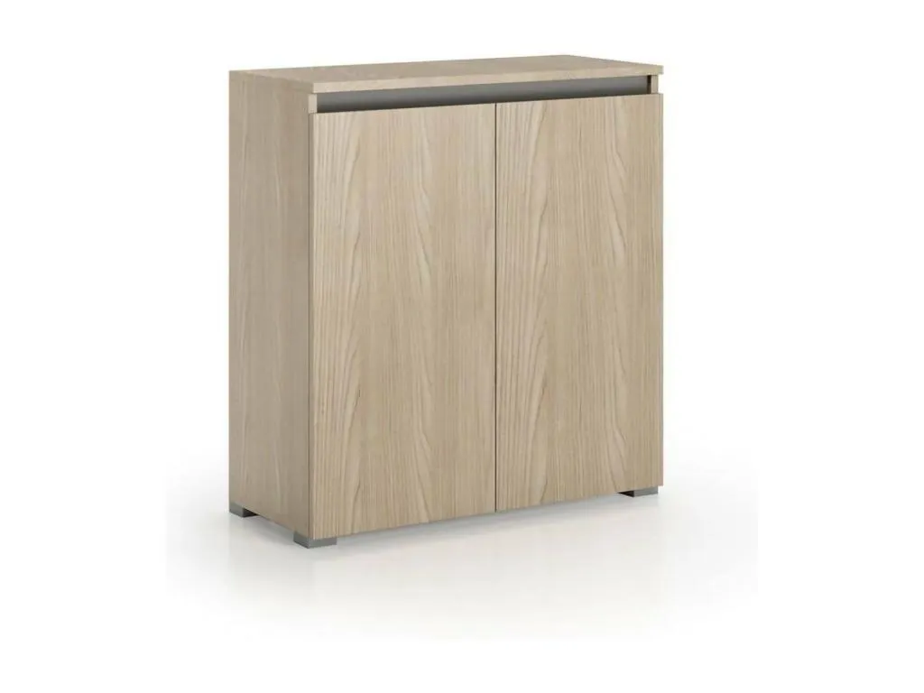 Zapatero Jmmhogar Mueble multiusos Zapatero con 2 puertas que ahorra espacio Armario con estantes Made in Italy 80x37h102 cm Jmmhogar