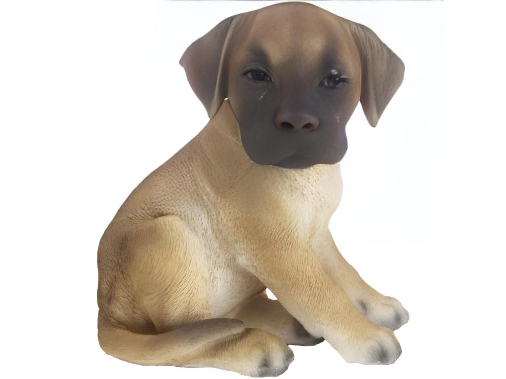 Cachorro de gran danés sentado en resina