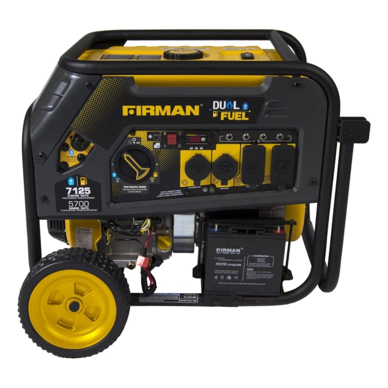 WAYFAIR FIRMAN H08051 Dual Fuel Portable Generator, 10,000-Watts Power Generator With Electric Start, 12 Hours Of Run Time, 439Cc Engine, Versatile And Durable Generator