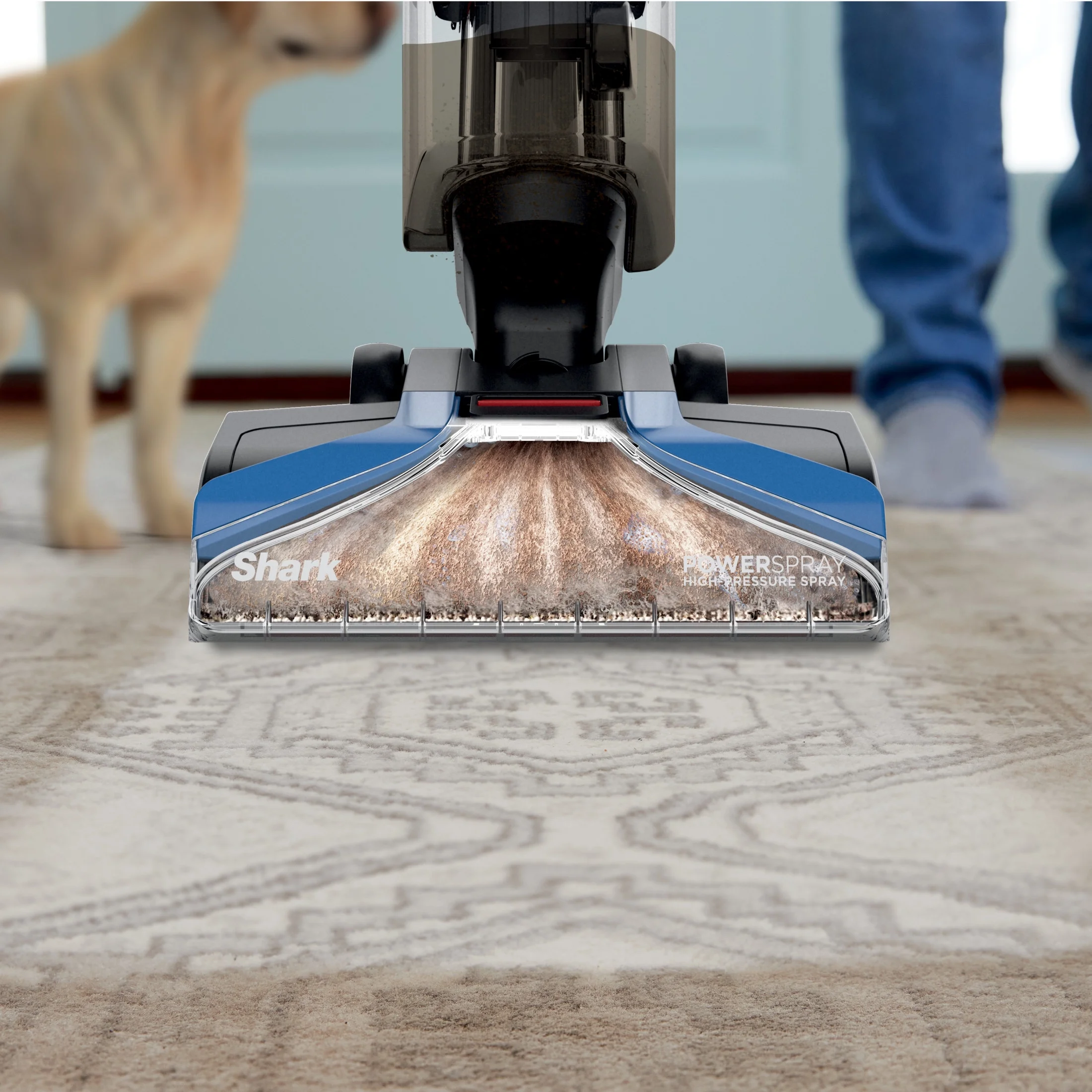 Shark? CarpetXpert? Upright Carpet & Area Rug Cleaner, Perfect for Pets, Lightweight & Powerful, Dirt, Grime, & Odor Removal, Carpet Shampooer, Cleaning Solution, Blue, EX121BRN - Image 12