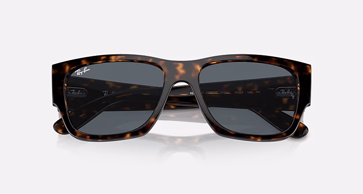 Ray-Ban CARLOS