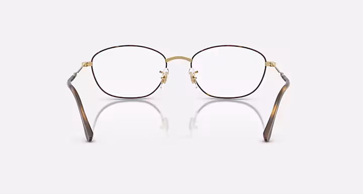 Ray-Ban RB3749V OPTICS