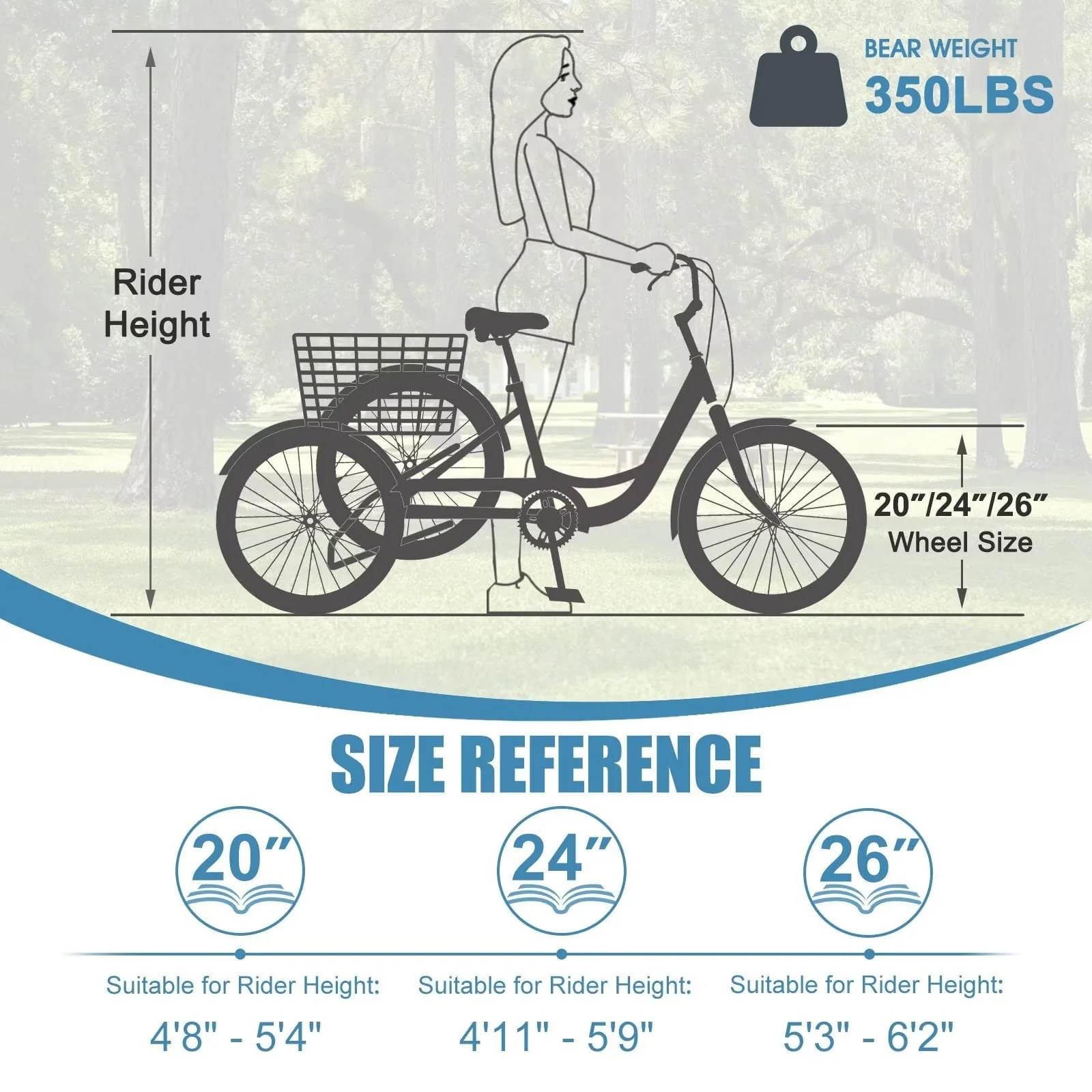 MOPHOTO Adult Tricycle 20/24/26 inch 3 Wheel Bicycle,3 Wheel Bikes for Adults,7 Speed Low Stepover Frame Tricycle with Basket/Bell,3 Wheel Bicycle for Seniors,Women,Men - Image 4