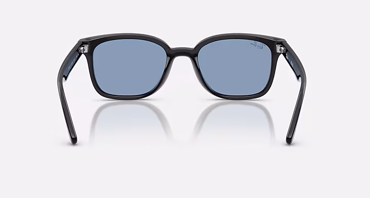 Ray-Ban RB4461D
