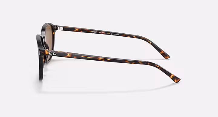 Ray-Ban LEONARD