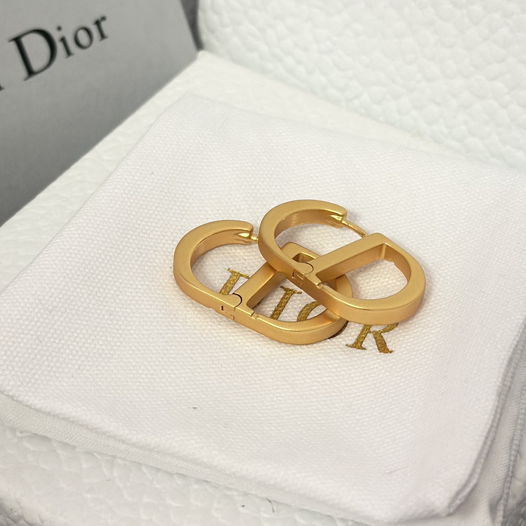 Dior Minimalistic CD Stud Earrings - Original Replica Club