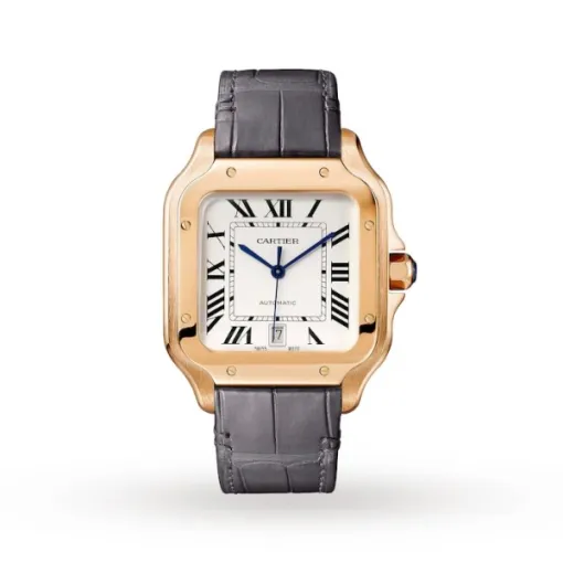 Cartier Santos de Cartier Men Automatic Silver Alligator Watch WGSA0019