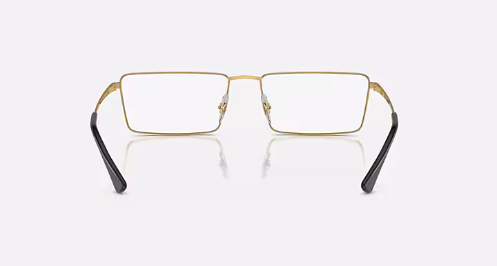 Ray-Ban EMY OPTICS