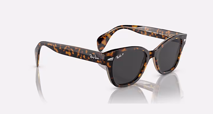 Ray-Ban RB0880S RELOADED