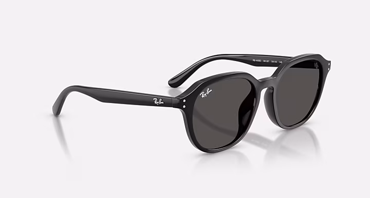 Ray-Ban RB4459D