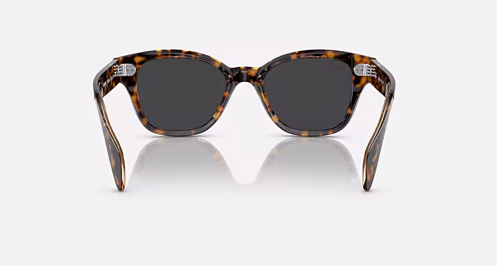 Ray-Ban RB0880S RELOADED