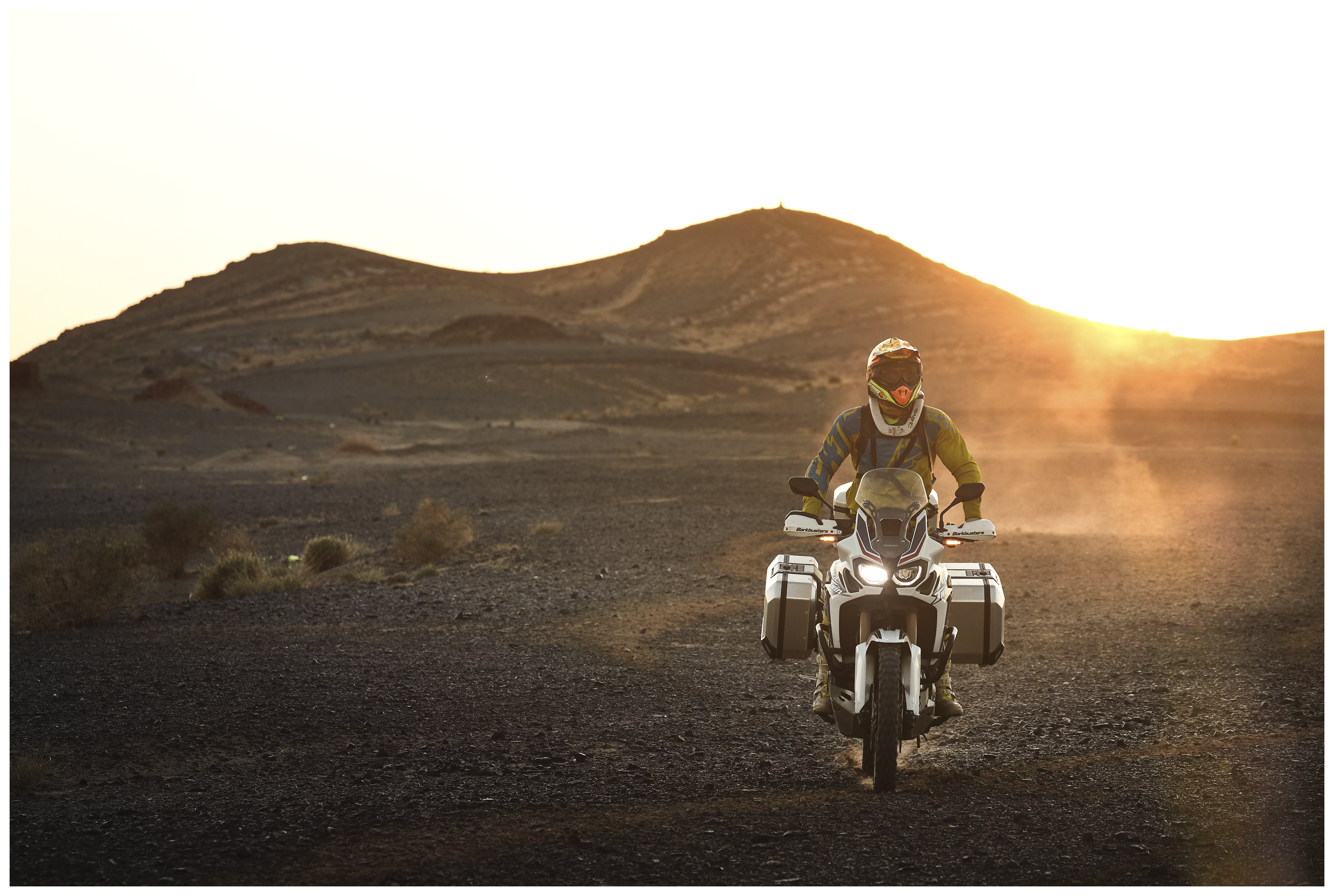 SportsBikeShop Shad TR36 Terra Side Case