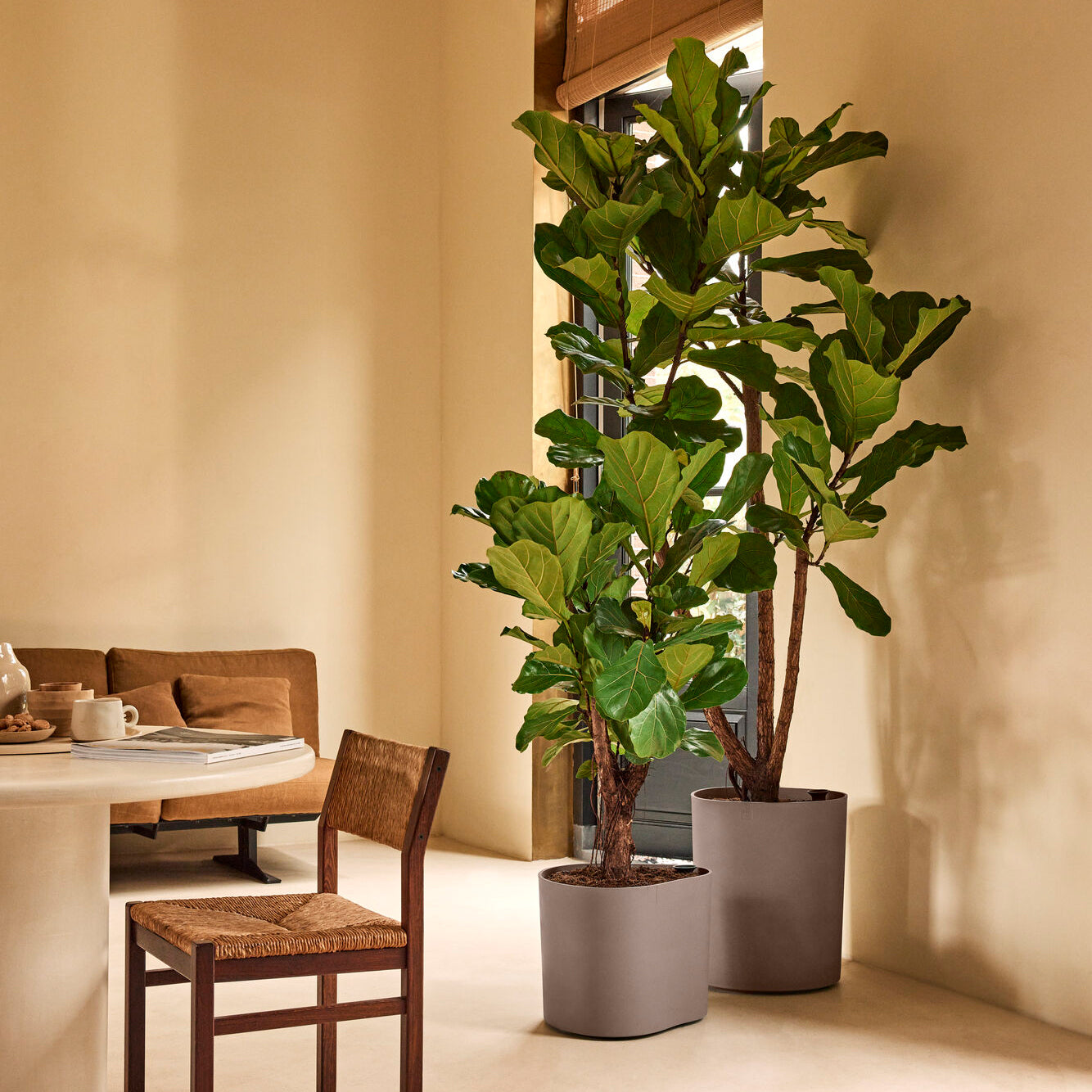 Elho Eden Aquacare Medium 40 - Zacht taupe - L 42 x B x H 42 cm - Binn