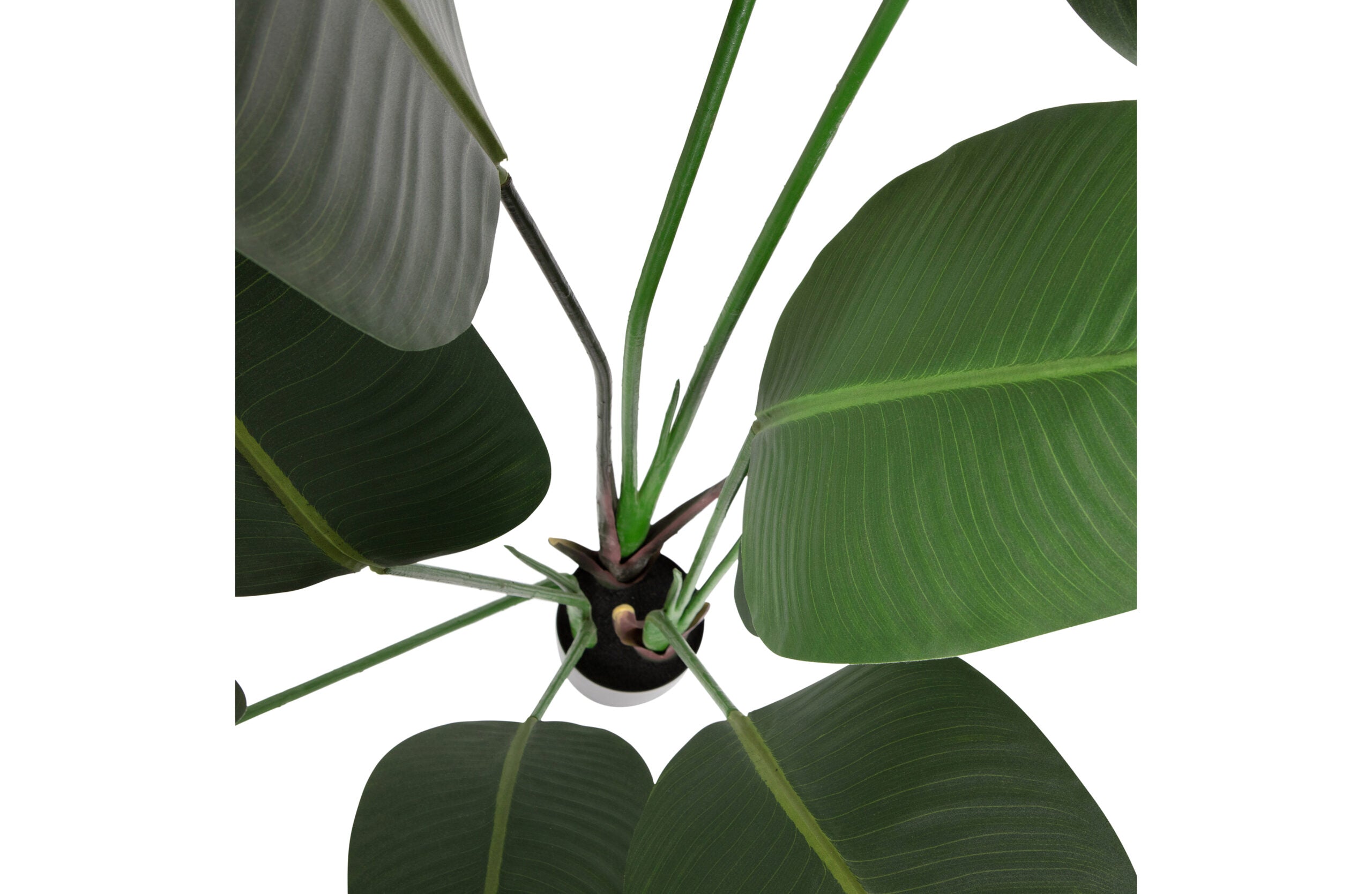 WOOOD Strelitzia Kunstplant - Groen - 96x164x63