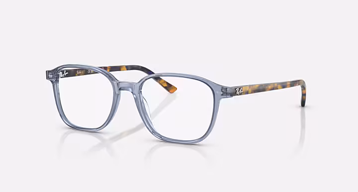 Ray-Ban LEONARD OPTICS