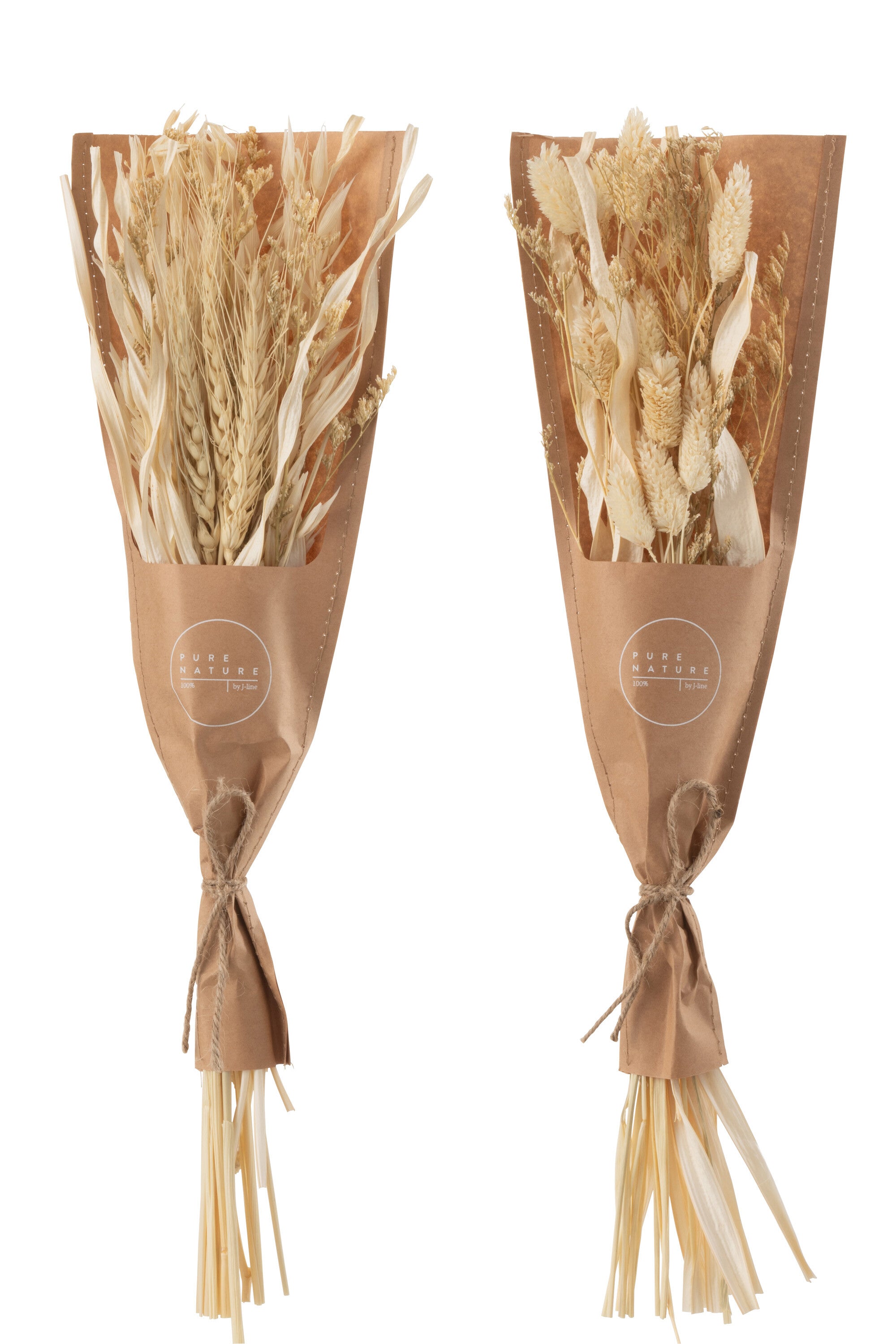 J-Line droogbloemen - Bundel gedroogde Avana gras - naturel