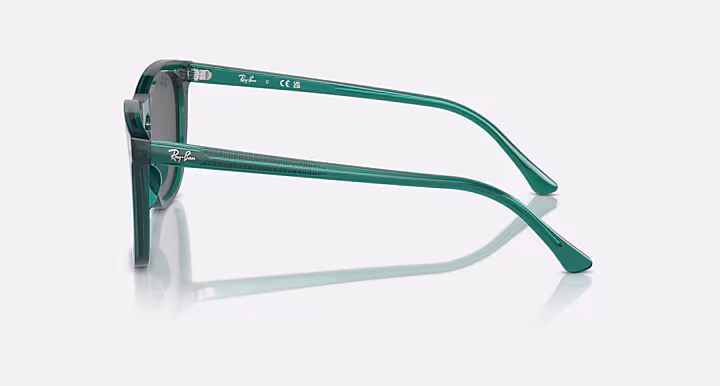 Ray-Ban RB2210