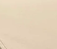 2025 Doona Infant Car Seat and Stroller with Base