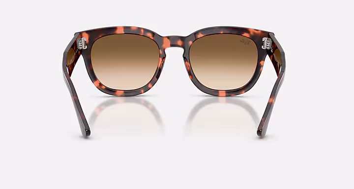 Ray-Ban MEGA HAWKEYE