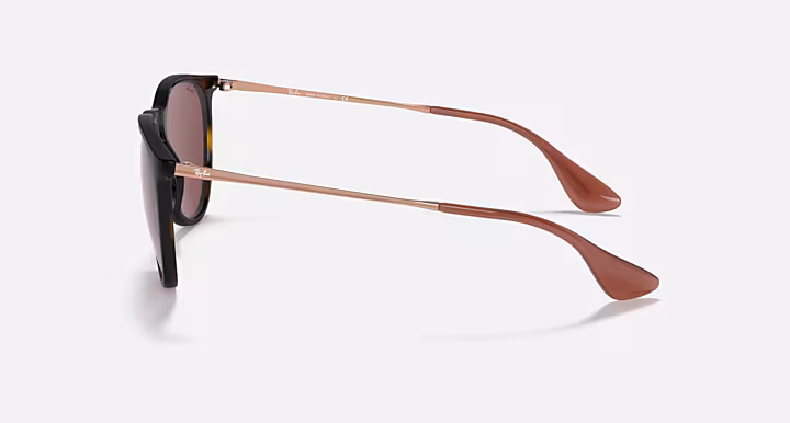 Ray-Ban ERIKA COLOR MIX