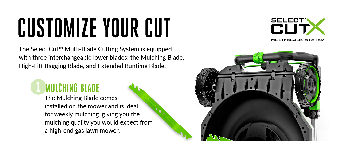 customize cut