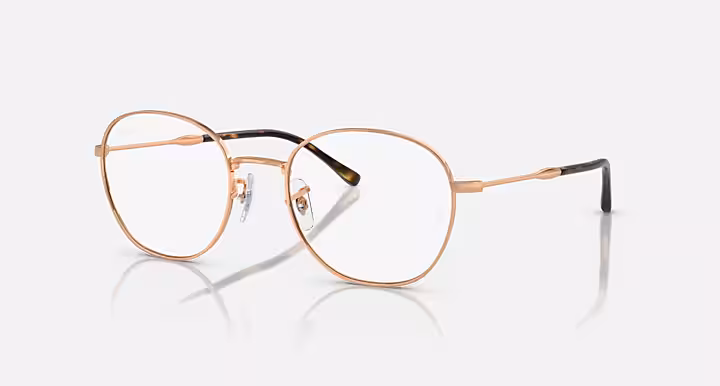 Ray-Ban RB6509 OPTICS