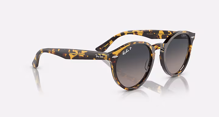Ray-Ban LARRY