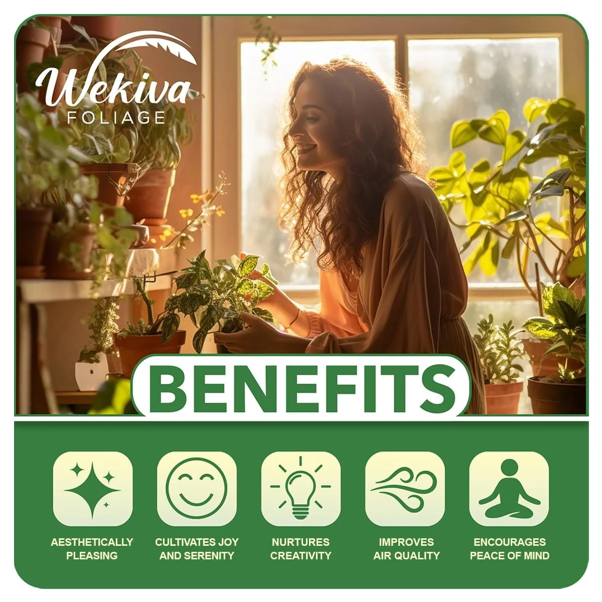 Brogdon Avocado Tree - Grafted - Live Plant in a 3 Gallon Growers Pot - Persea Americana - Beautiful Edible Fruit Bearing Tree for Patio and Garden - Image 5