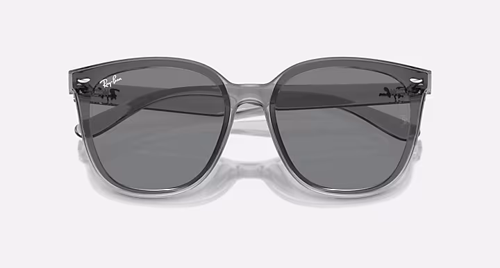 Ray-Ban RB4423D