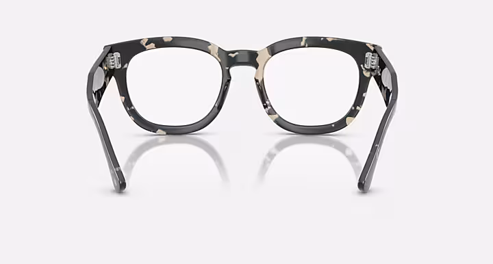 Ray-Ban MEGA HAWKEYE OPTICS