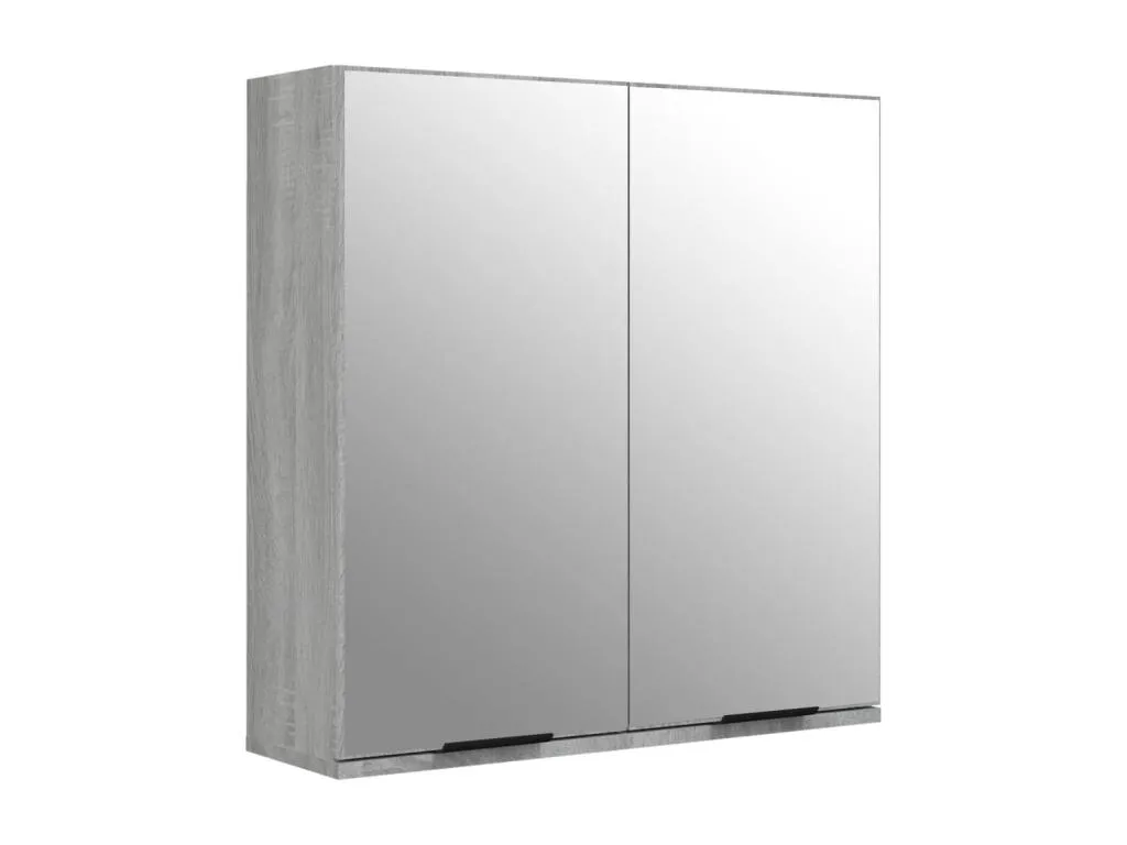 Armario de baño con espejo color gris Decopractico 64x20x67 cm 77747BOFS