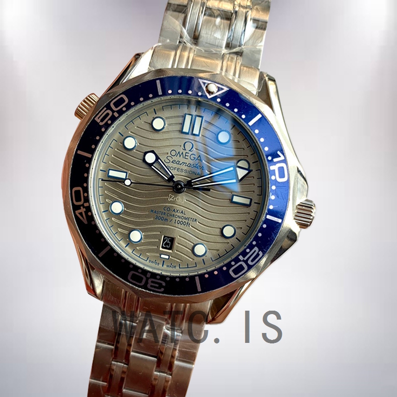 Omega Seamaster 210.30.42.20.06.001 42mm Men Grey Dial