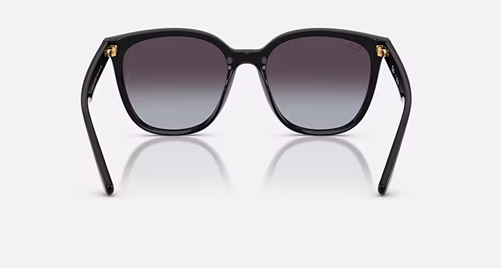 Ray-Ban RB4423D YEAR OF THE SNAKE EDITION