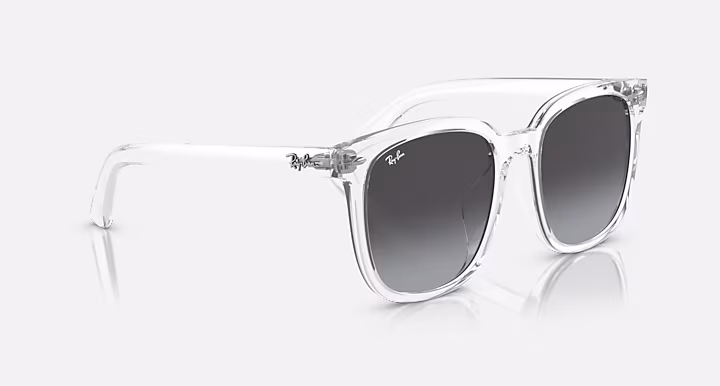 Ray-Ban RB4401D