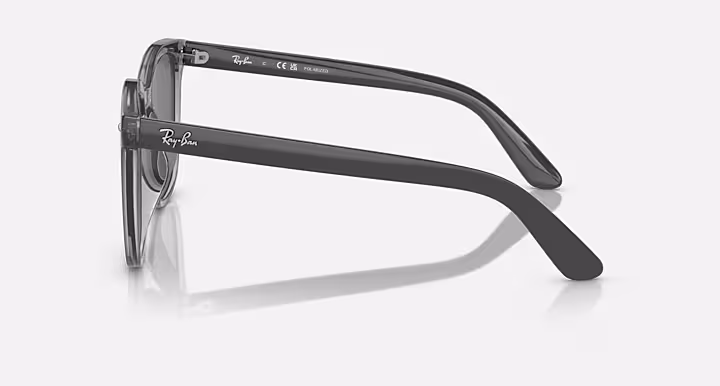 Ray-Ban RB4401D