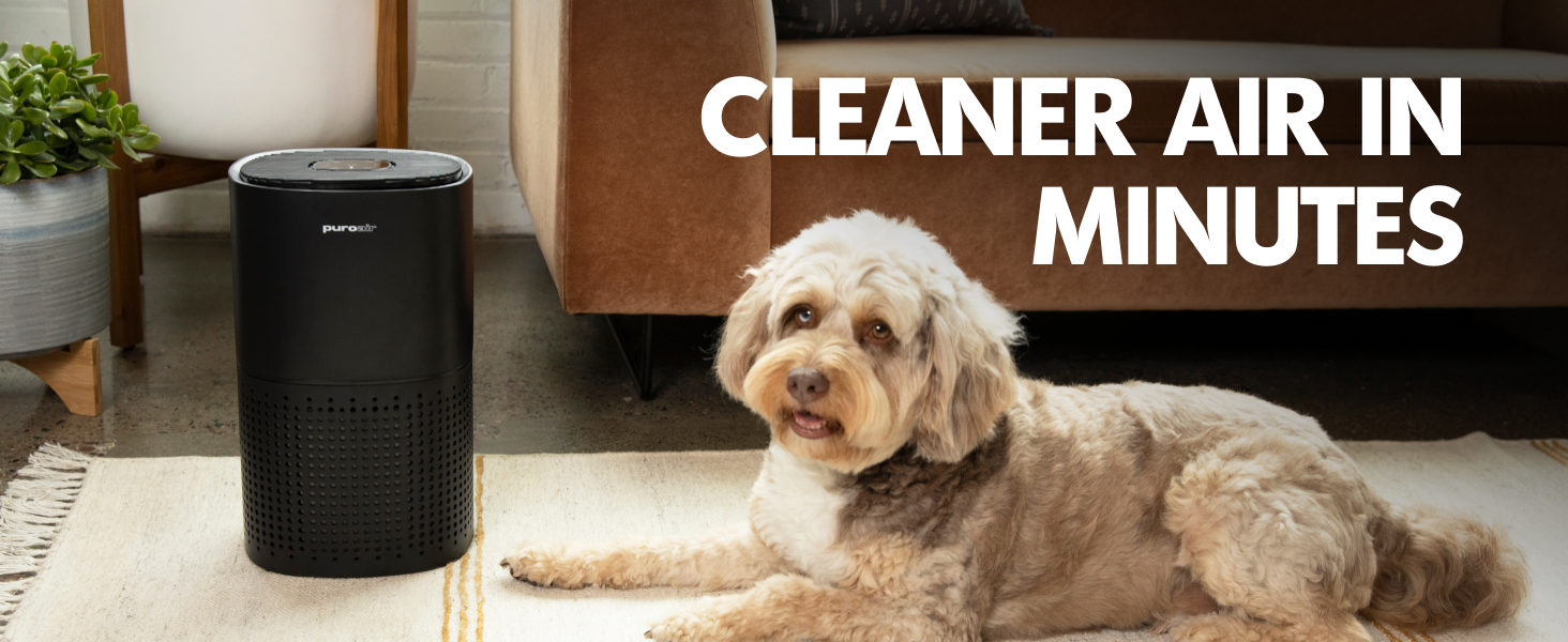 Air purifiers for home, PuroAir HEPA air purifier by sofa with dog in living room, allergies pets