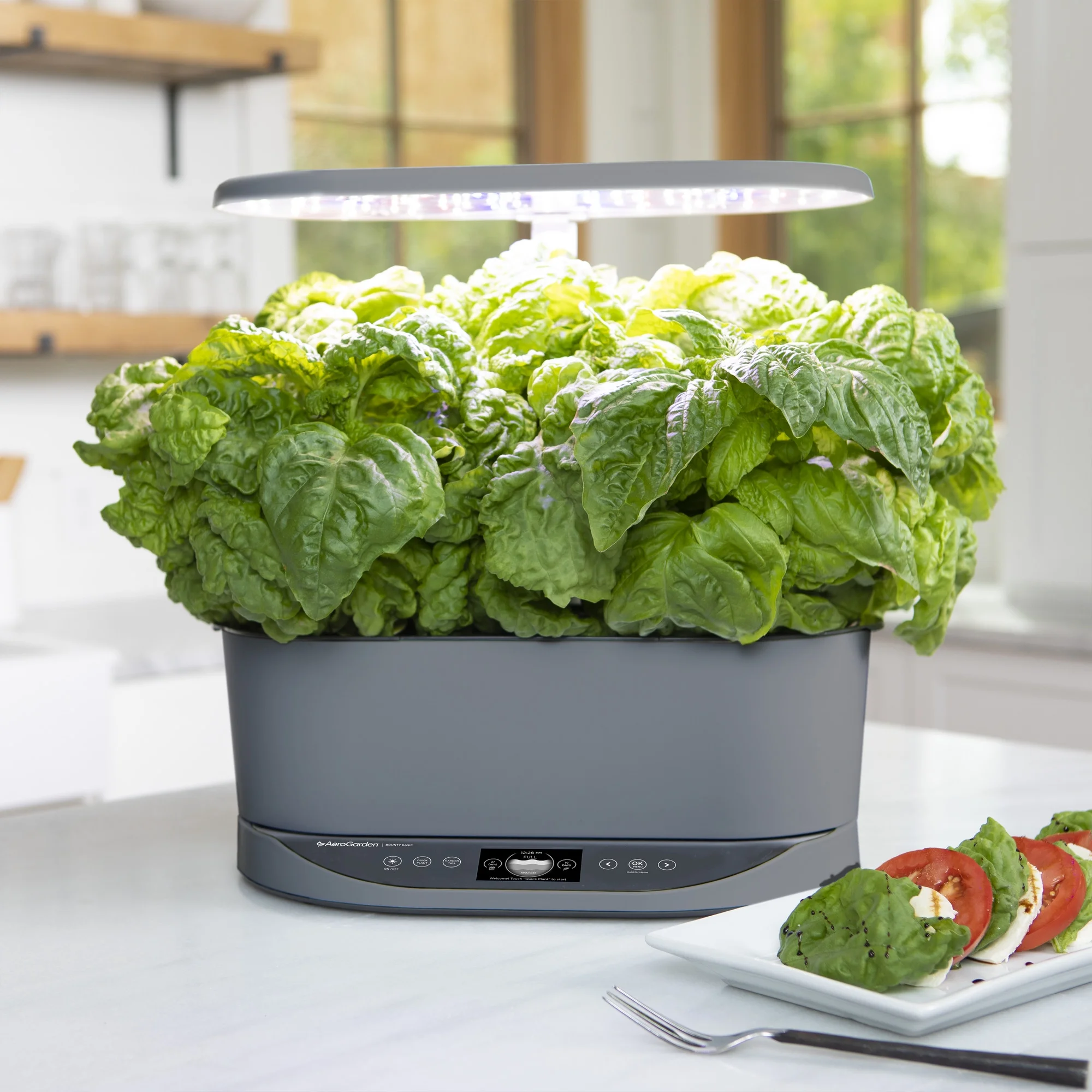 AeroGarden Bounty Basic - Indoor Garden with LED Grow Light, Black - Image 9