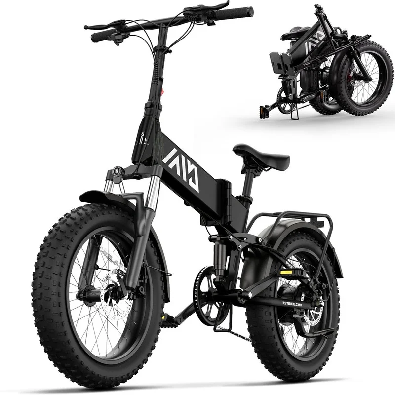 TST Foldable Electric Bike, 20in 4.0 Fat Tire, 48V 13Ah, 750W, Black - Buddy Pro