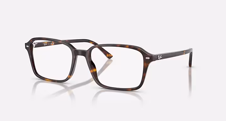 Ray-Ban RAIMOND OPTICS
