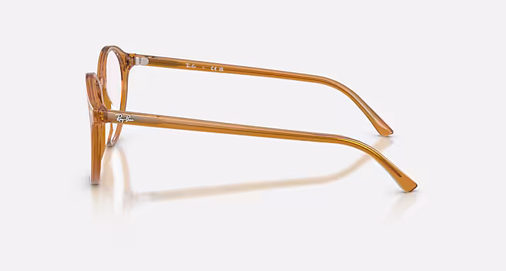 Ray-Ban BERNARD OPTICS