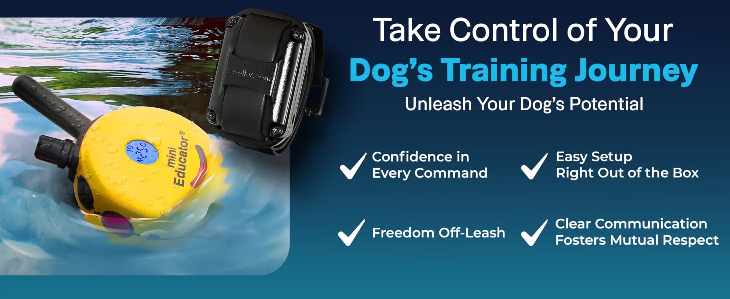 Take Control of your Dogs Training Journey
