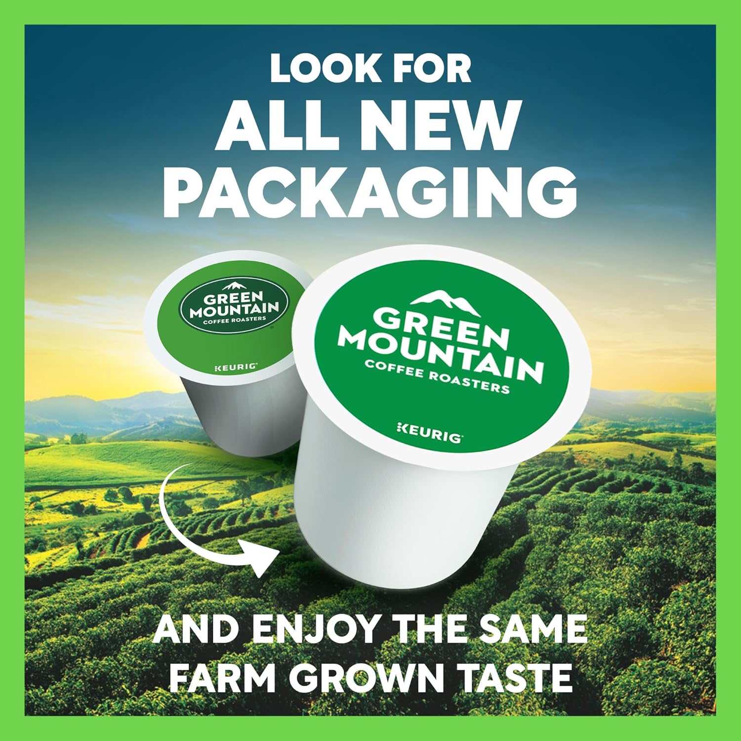 Green Mountain Coffee Roasters Cinnamon Honey Drizzle. Single-Serve Keurig K-Cup Pods. 6 Boxes of 10 (60 Count Total)
