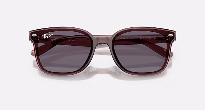 Ray-Ban RB4461D