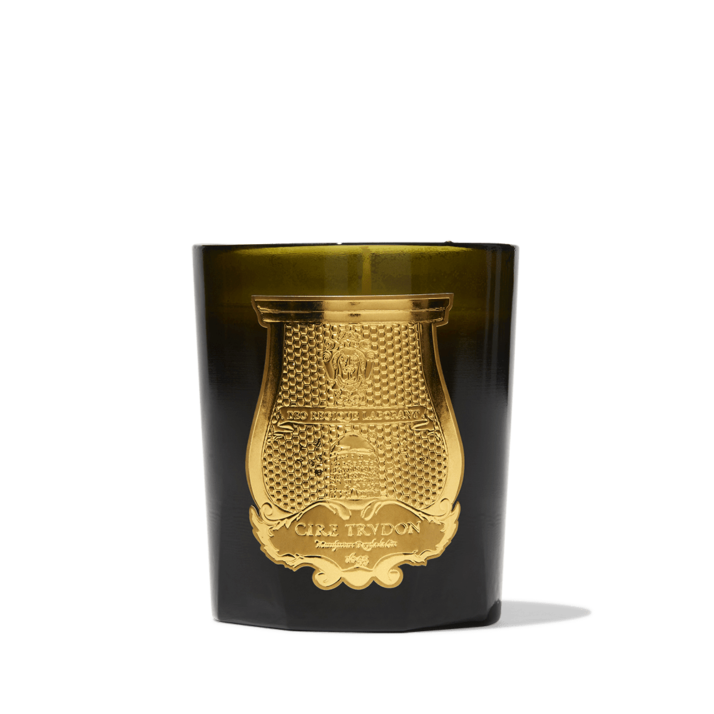 Trudon - Bougie parfumée  270 g - Gabriel